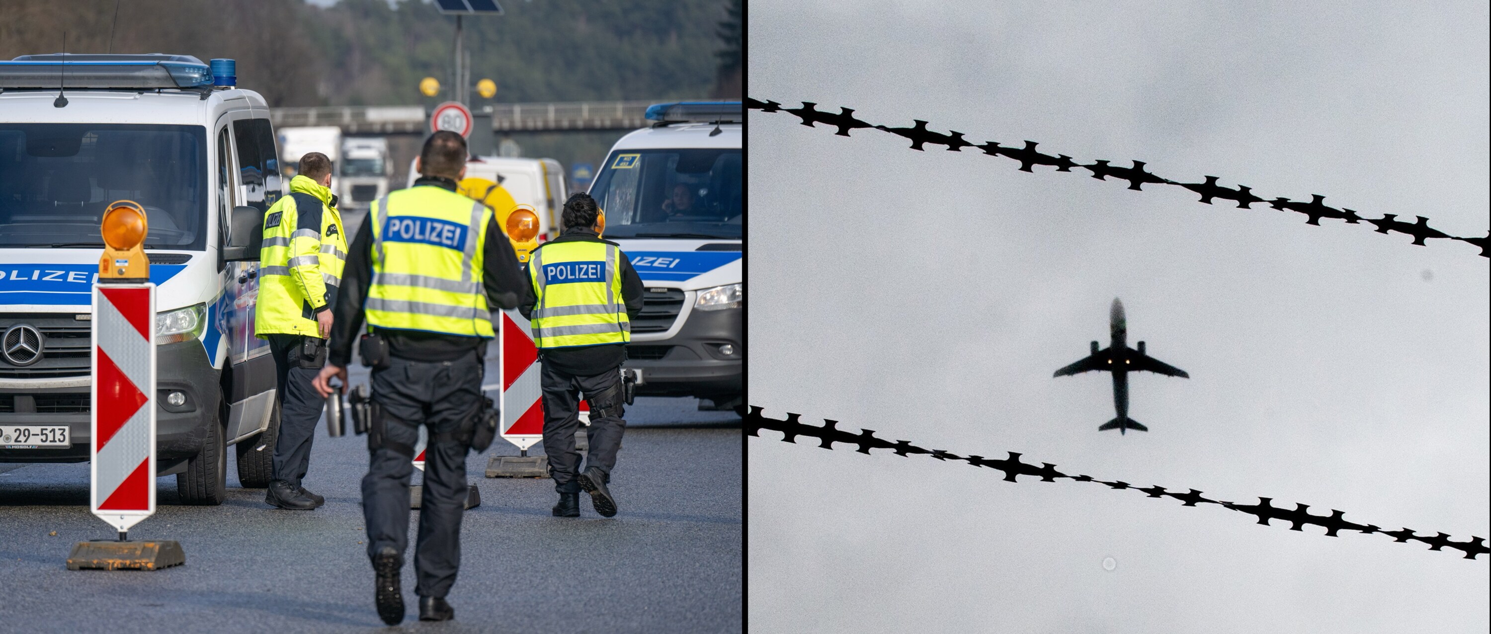 Migration